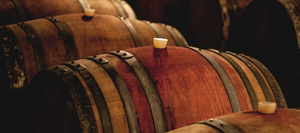 Close-up of wooden wine barrels in a dimly lit cellar, with metal hoops and white bungs sealing the tops.