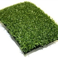 Flooring: Astroturf carpet